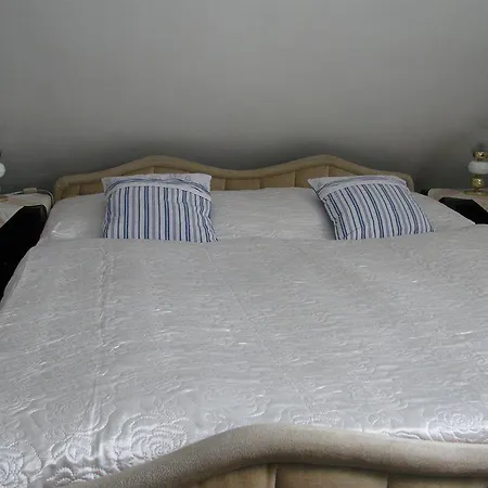 Guest house Diamant Karlovy Vary